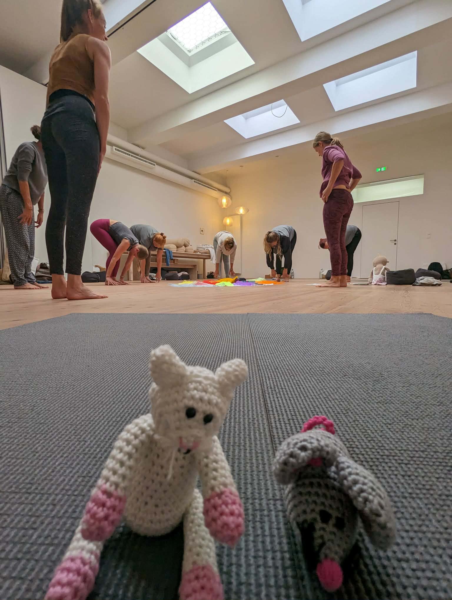 Yogalehrer Ausbildung in Innsbruck Gruppen Übung mit Julia Vosen