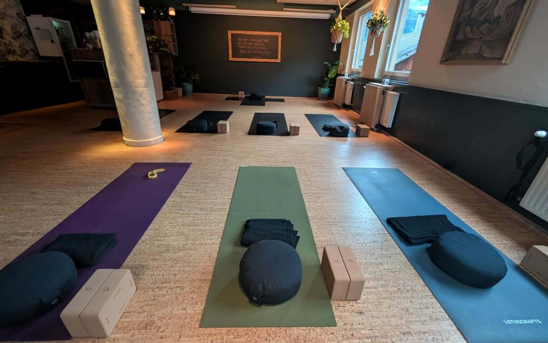 Was in einer Yogalehrer Ausbildung wirklich passiert