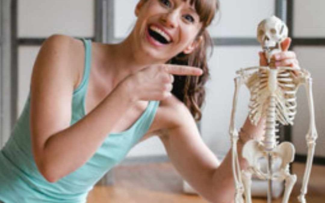 Anatomie in der Yogalehrer Ausbildung verstehen